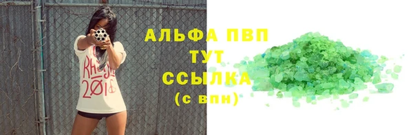 индика Ростов